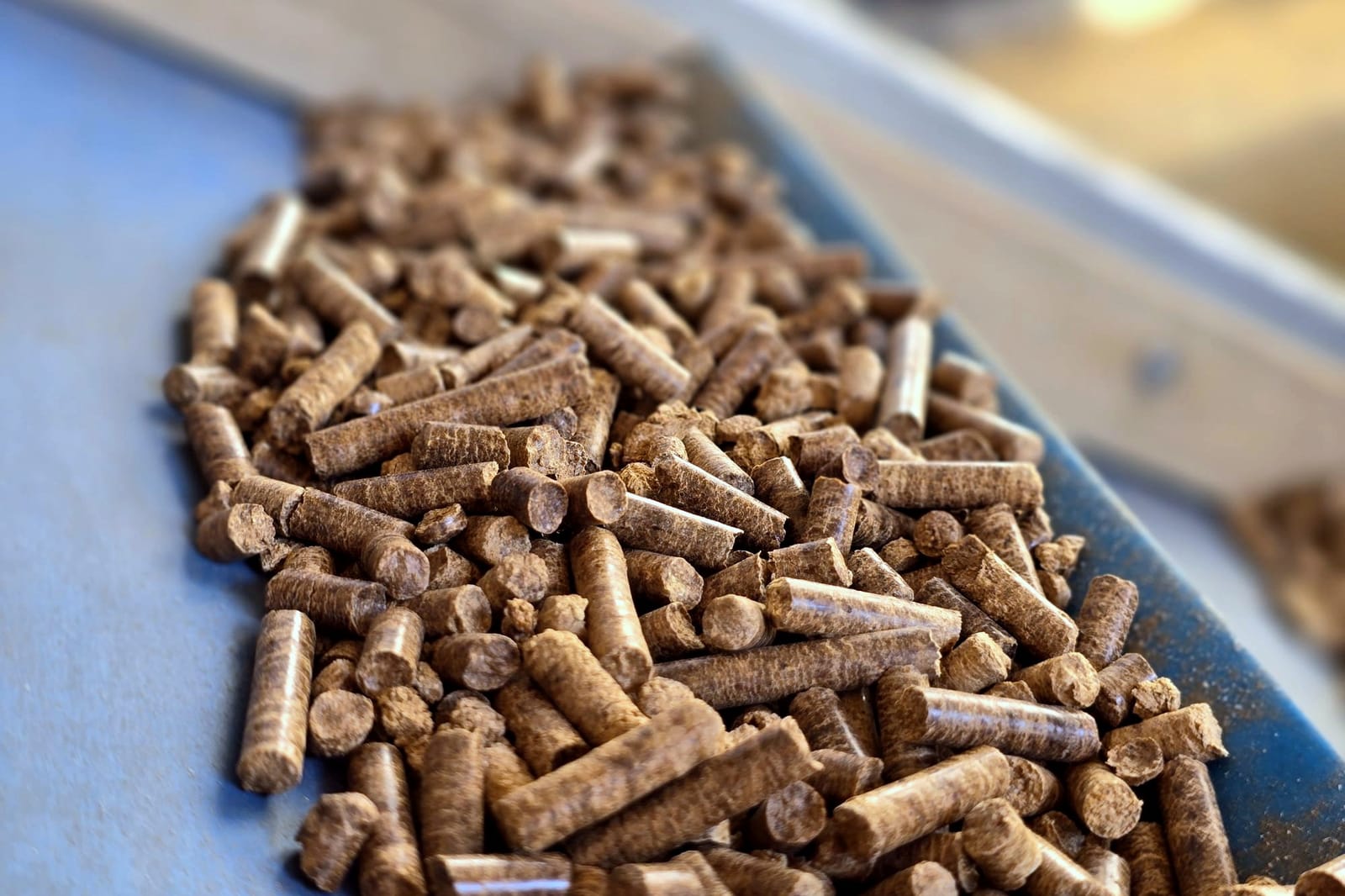 Holzpellets auf dem Förderband während der Produktion