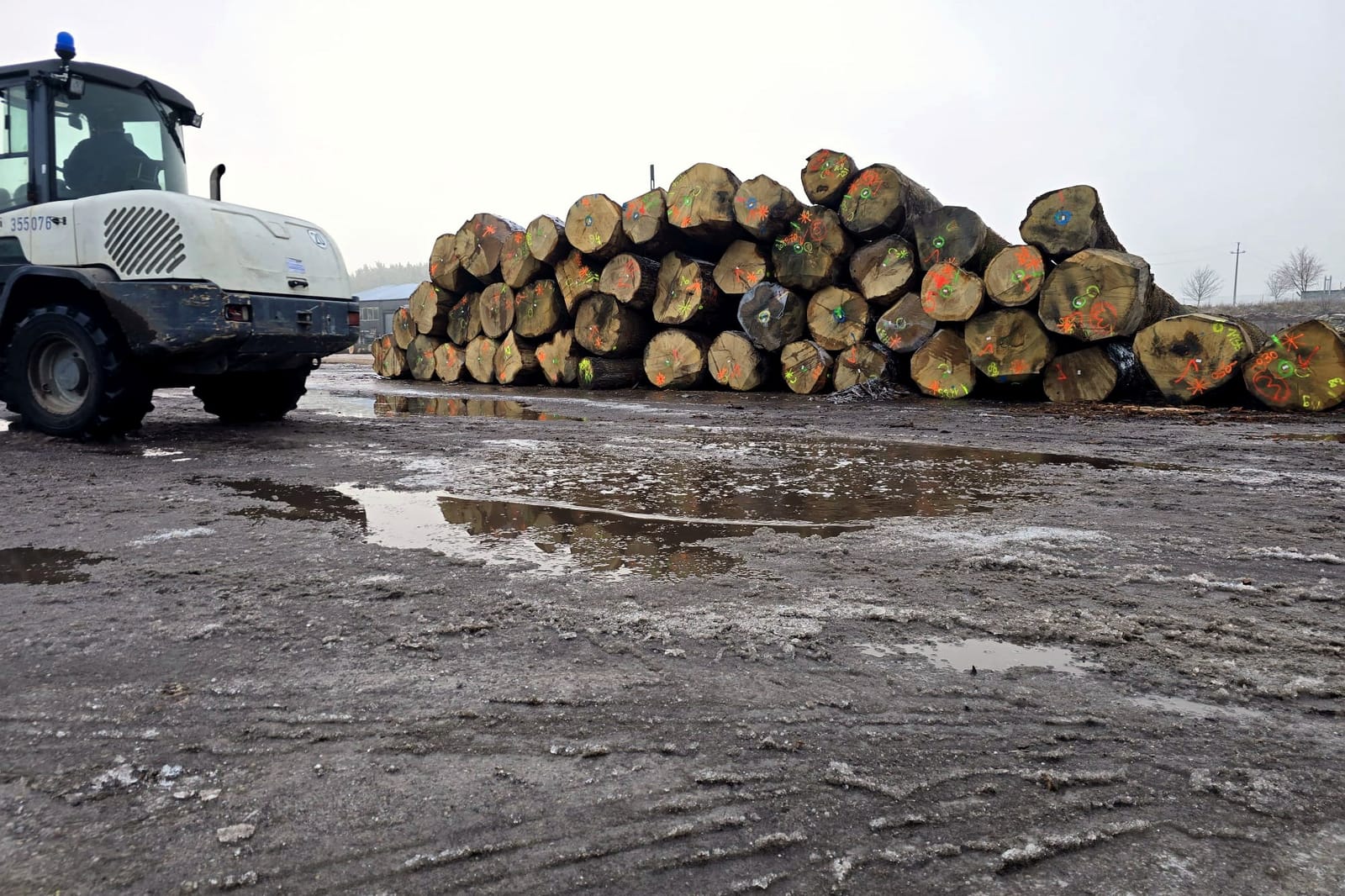 Stack of round wood in the plant yard