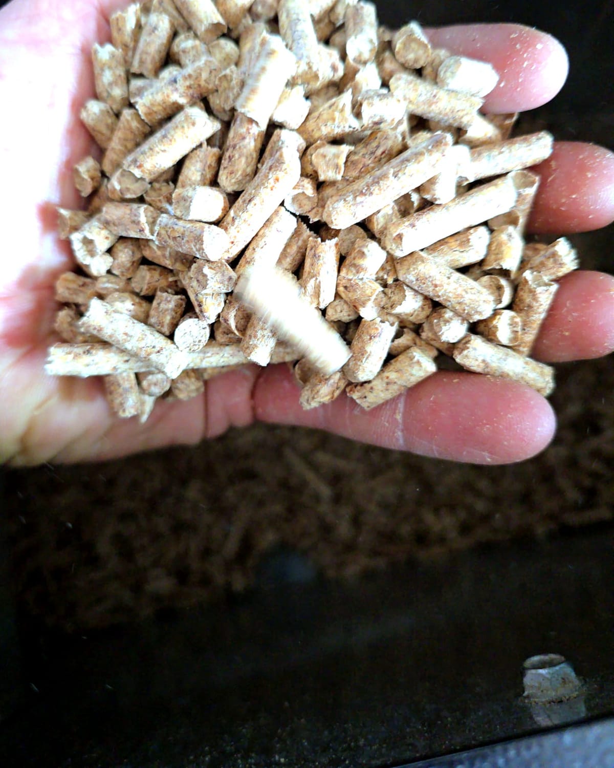 Wood pellets in a hand, granule size visible