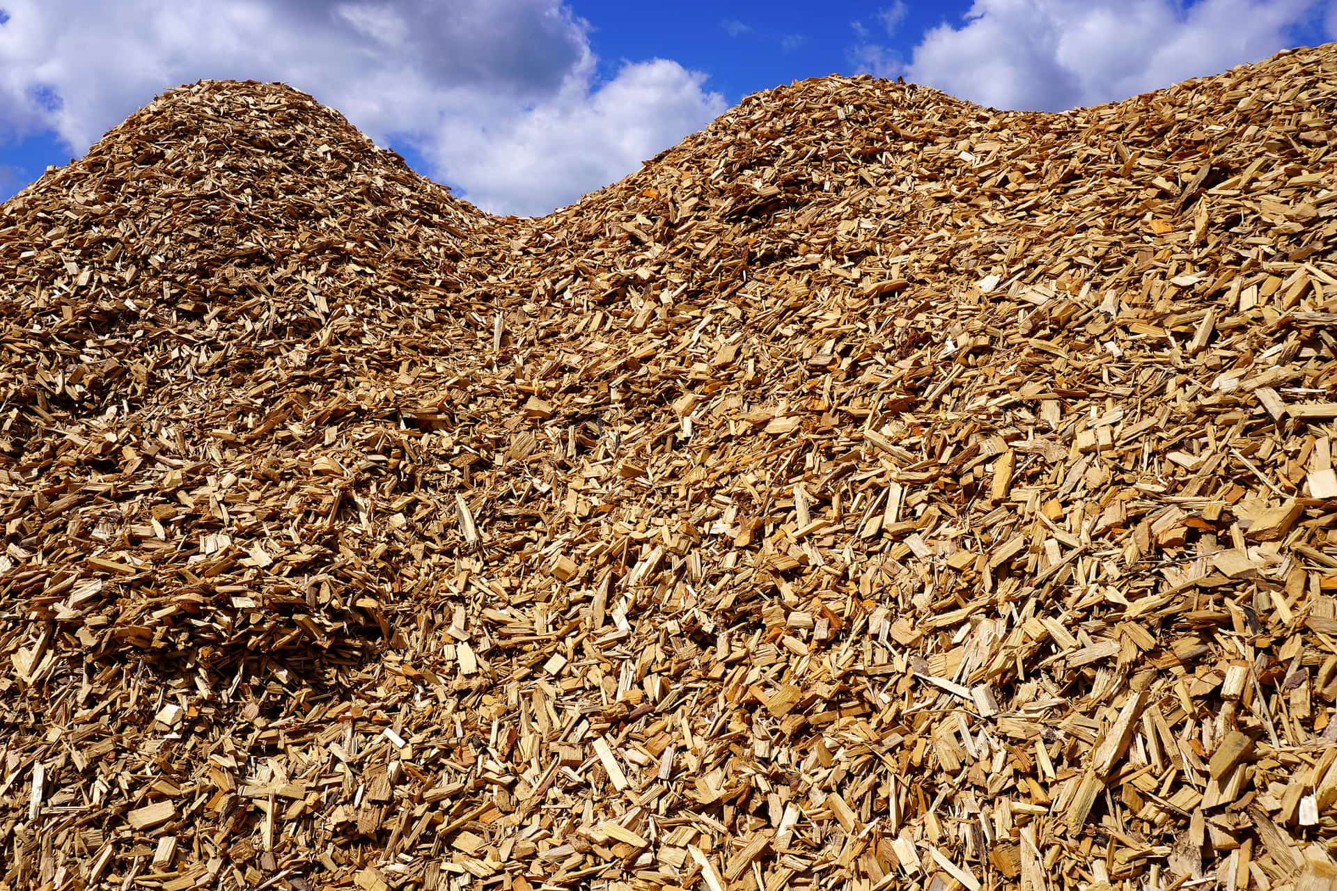 Pile of wood chips in the open yard